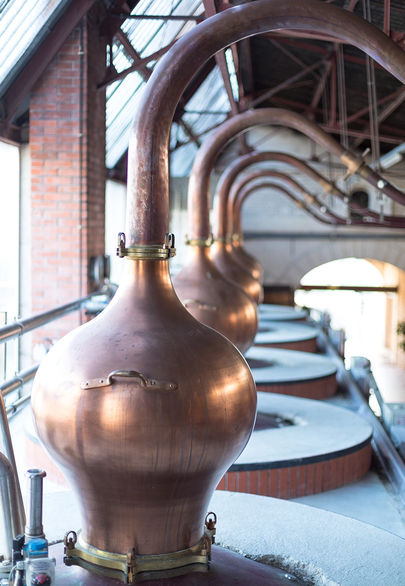 distillerie-2